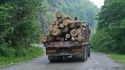 Logging lorry